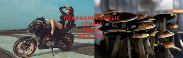 ПСИЛОЦИБИНОВЫЕ ГРИБЫ Беломорск