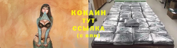 Альфа ПВП Белокуриха