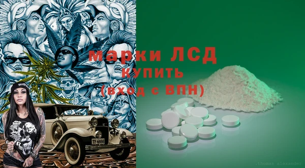 прущие грибы Белоозёрский
