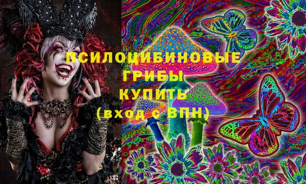 ПСИЛОЦИБИНОВЫЕ ГРИБЫ Беломорск
