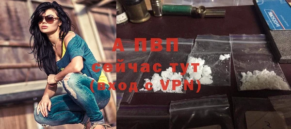 прущие грибы Белоозёрский