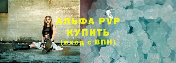 прущие грибы Белоозёрский